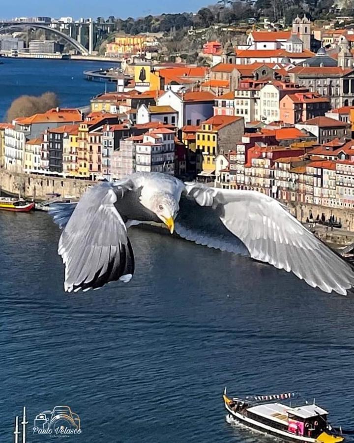Casa Mira Douro Βίλα Βίλα Νόβα ντε Γκάια Εξωτερικό φωτογραφία